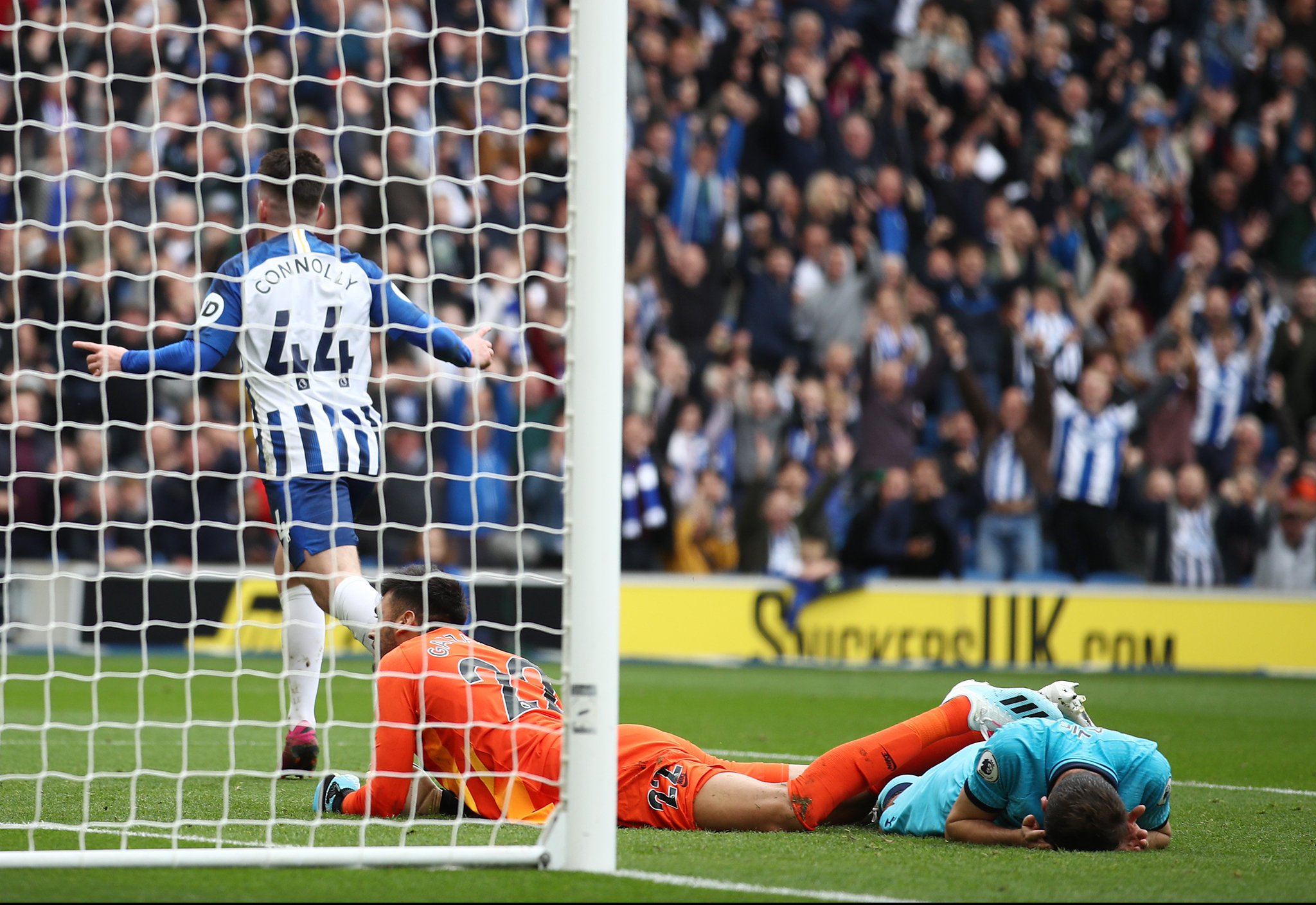 云南队的 云南队的